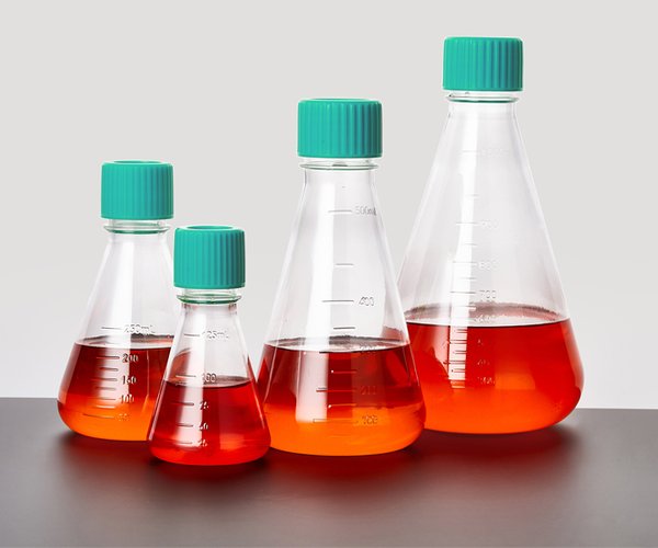 Erlenmeyer PETG No tratado Libre de ADNasa/ARNasa Apirógeno 125mL vent estéril 24uds