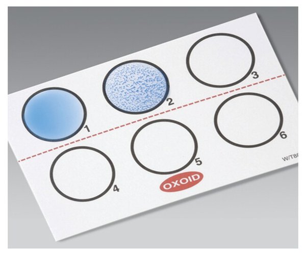 Prueba de Legionella en latex 50 tests