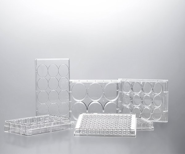 Multiplaca tratada para cultivo celular 24 pocillos 1 placa (Muestra)