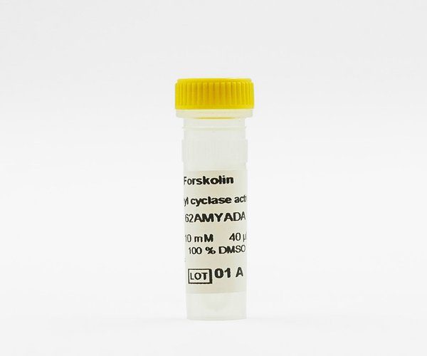 Forskolina HTRF - 40 µL