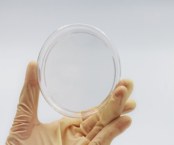 Plato petri 150 mm de esterilizado paquete 100