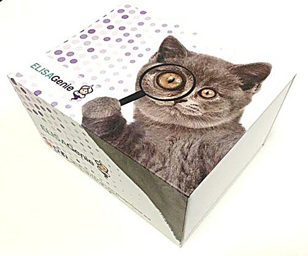 Ovalbumin (OVA) ELISA Kit 