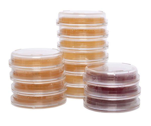 Sabouraud Glucose Agar con TLHTh 30 Placas
