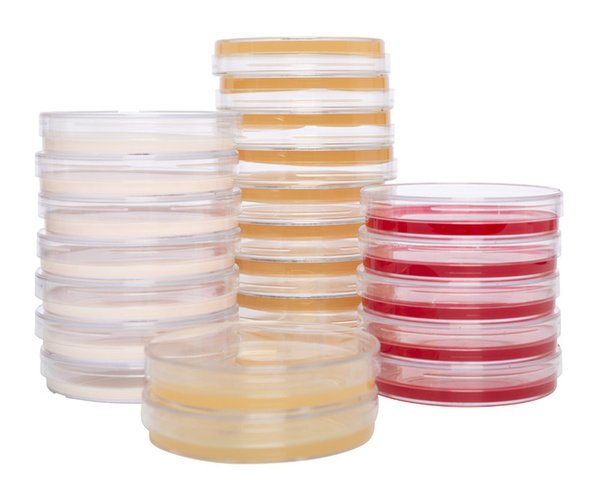 Nutrient agar DEV. Placas preparadas 90 mm 20 Placas