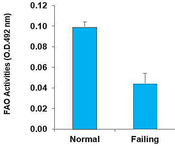 Fatty Acid Oxidation (FAO) Assay Kit