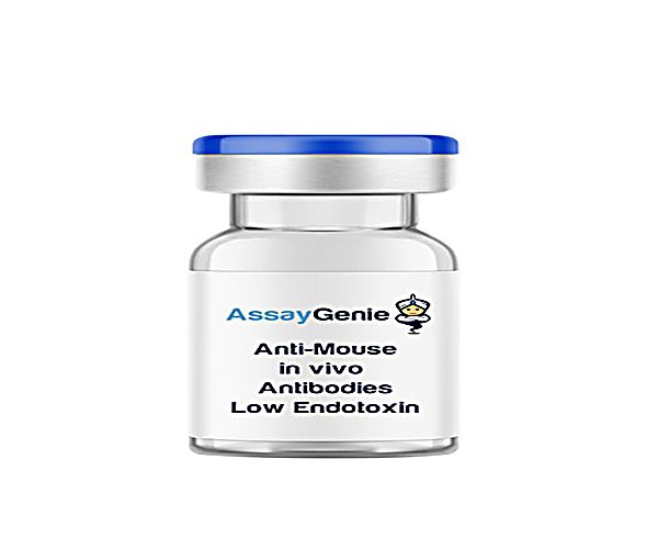 Anti-Mouse 4-1BB In Vivo Antibody - Low Endotoxina 1 mg