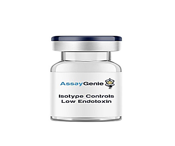 Rato IgG2a Isotype Control-Low Endotoxina, 5MG