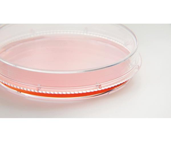 Nunc™ Placas EasYDish™, 100 mm