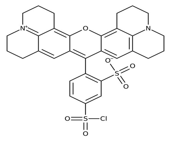 Sulforhodamine 101 acid chloride 10MG