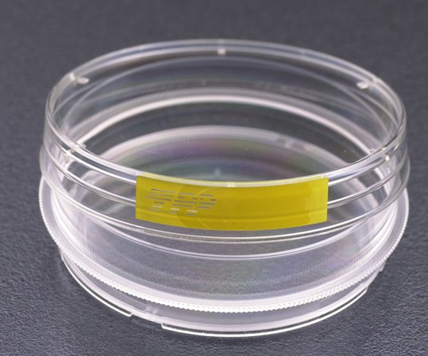Plato de cultivo de tejidos Ø 60 mm 840/paq.