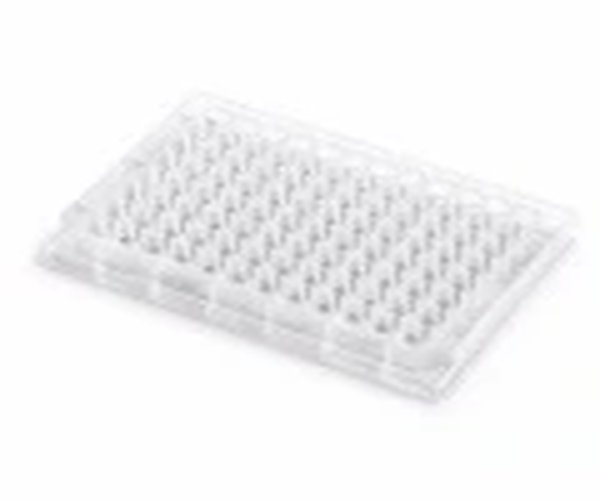 WP 96/0,5 ml, Rd, U, 14 mm, PP, paquete de 30