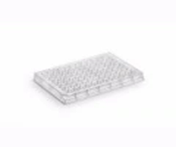 WP 96/0,33 ml, Rd, V, 14 mm, PP, paquete de 50