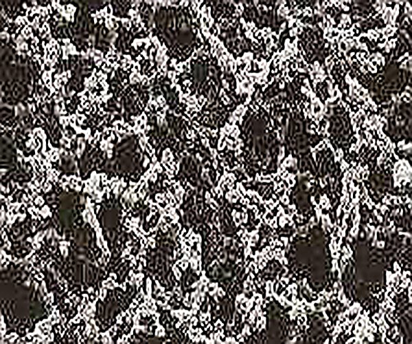 Filtro membrana acetato celulosa FITLER-LAB 25 mm , 0.45 µm, 100u