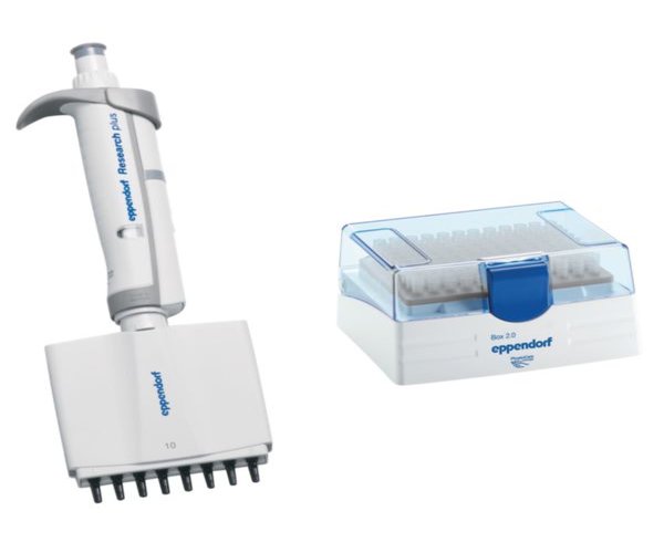 Eppendorf Research plus 8 canales, variable, 0,5 - 10 µL, gris