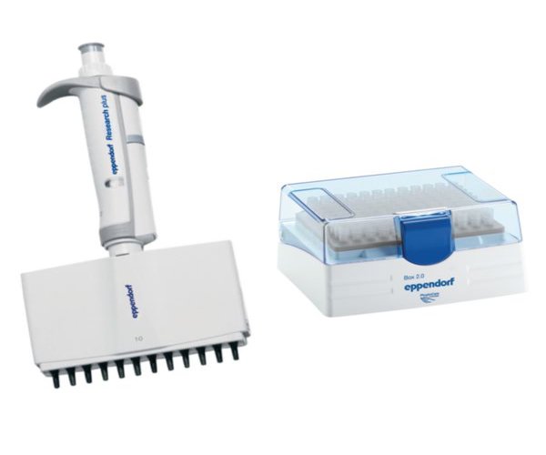 Eppendorf Research plus 12 canales, variable, 0,5 - 10 µL, gris