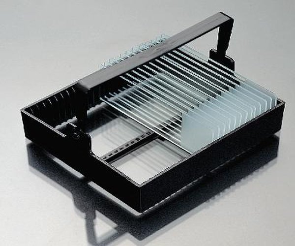CESTA DE TINCIÓN DE DIAPOSITIVAS