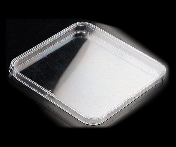 PLACA PETRI 120X120MM PACK DE 240
