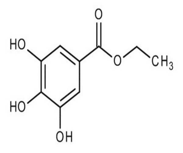 3,4,5-TRIHIDROXIBENZOATO DE ETILO PARA SINTÉTICO