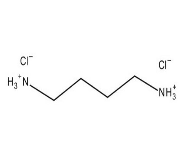DIHIDROCLORURO DE 1,4-DIAMINOBUTANO PARA SY