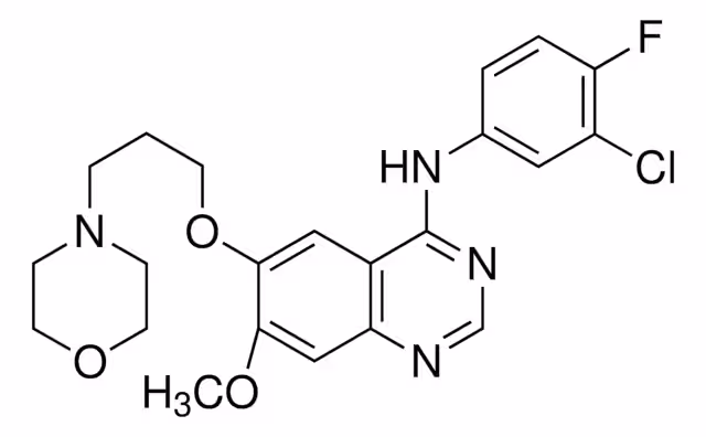 GEFITINIB PARA LA IDONEIDAD DEL SISTEMA, EUROPA paquete 1X1EA