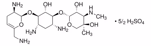 SULFATO DE SISOMICINA pack 1X1G