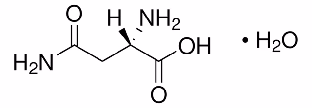 ASPARAGINA MONOHIDRATO pack 1X1EA