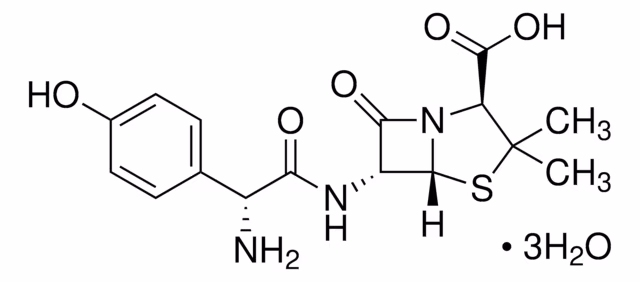 AMOXICILINA TRIHIDRATO PARA RENDIMIENTO V pack 1X1EA