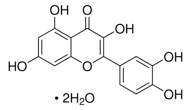 QUERCETINA DIHIDRATO pack 1X1EA