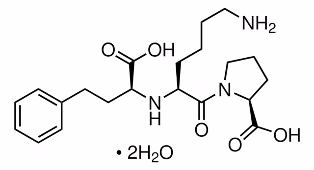 LISINOPRIL DIHIDRATO pack 1X1EA