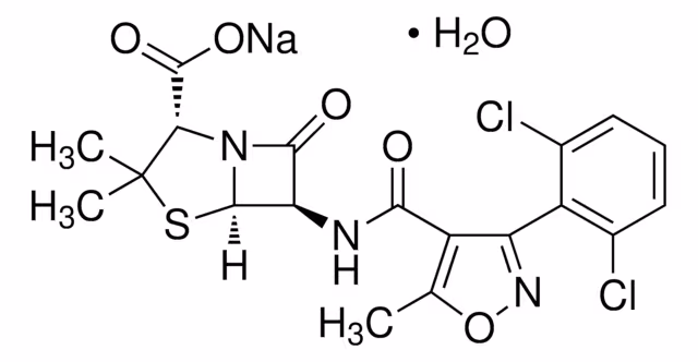 DICLOXACILINA SÓDICA pack 1X1EA