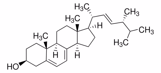 ERGOSTEROL pack 1X1EA