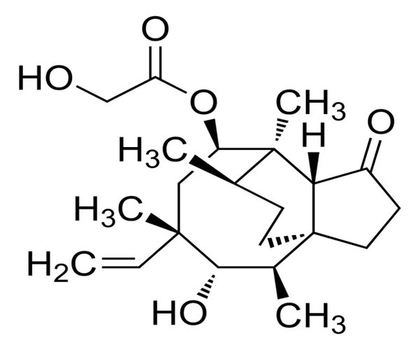 VALNEMULIN IMPUREZA E pack 1X1EA