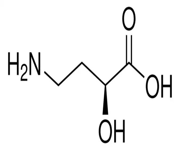 IMPUREZA DE AMIKACINA Paquete 1X1EA