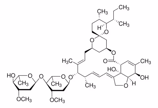 VERMECTINA pack 1X1G