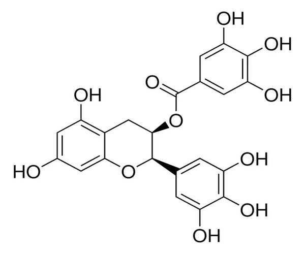 GALATO DE EPIGALLOCATEQUINA pack 1X1G