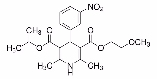 NIMODIPINA pack 1X1G