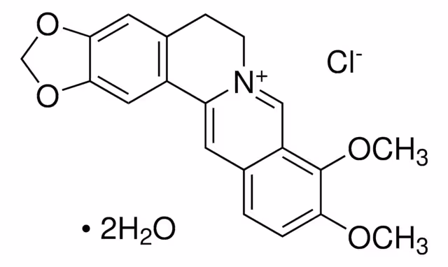 Cloruro de berberina, farmacopea británica paquete 1X1EA