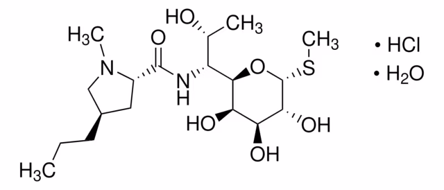 LINCOMICINA CLORHIDRATO paquete 1X1G