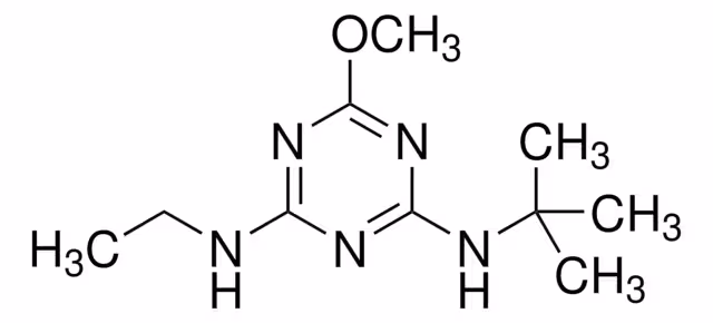 TERBUMETON PESTANAL, 250 MG envase 1X250MG
