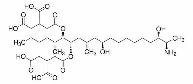 FUMONISINA B3- SOLUCIÓN OEKANAL, 50 5G/ML pack 1X1ML