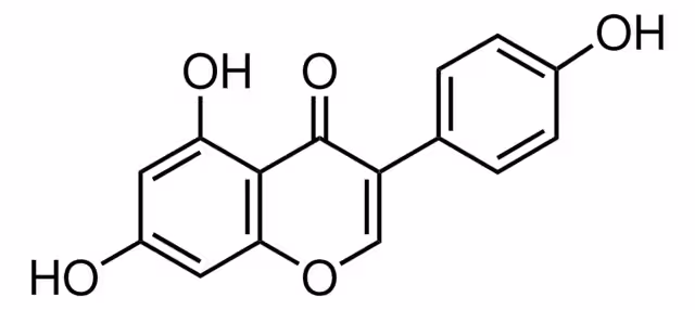 GENISTEIN pack 1X50MG