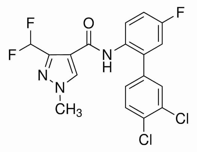 BIXAFEN pack 1X100MG