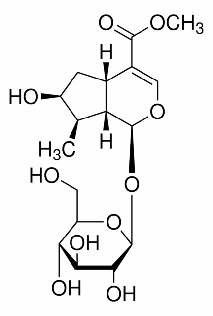 LOGANINA pack 1X10MG