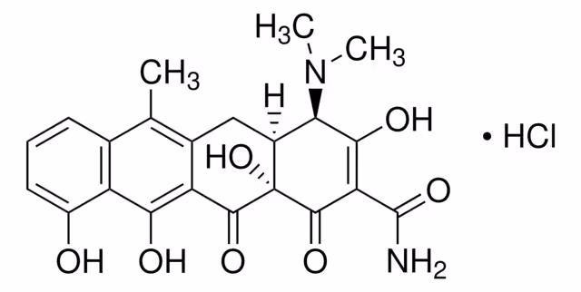 4-EPIANHIDROTETRACICLINA HIDROCLORURO pack 1X100MG