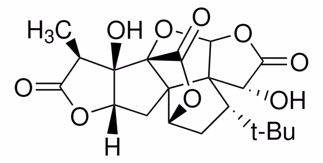 GINKGOLIDA Un paquete 1X25MG
