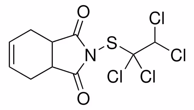 CAPTAFOL PESTANAL, 250 MG envase 1X250MG