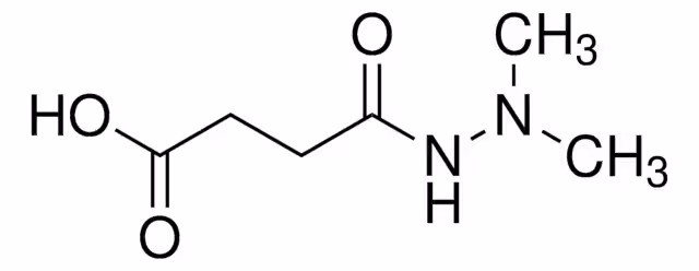DAMINOZID PESTANAL (ÁCIDO SUCCÍNICO MONO(& pack 1X250MG