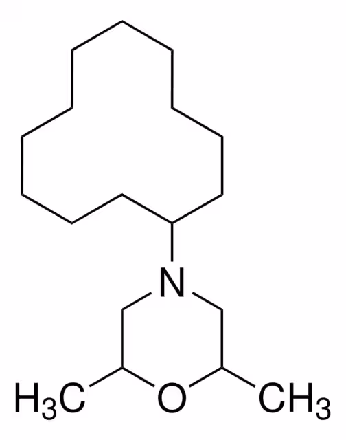 DODEMORFO MEZCLA DE CIS Y TRANS ISOM& pack 1X250MG