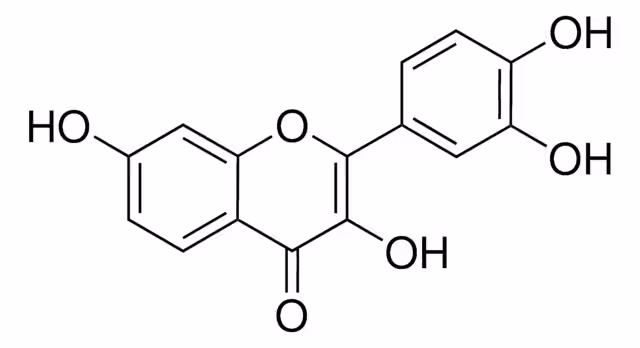 FISETIN pack 1X20MG
