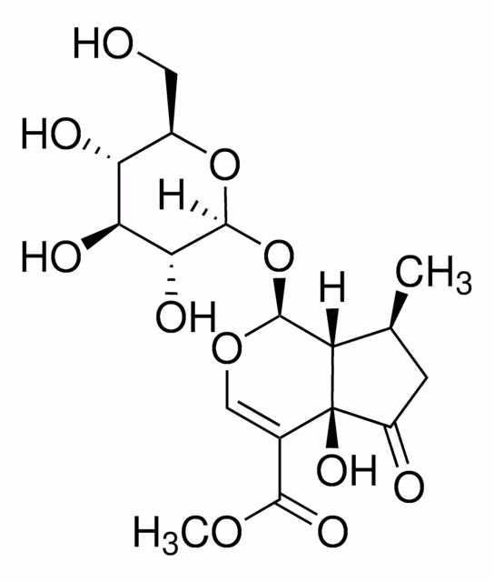 HASTATOSIDO paquete 1X10MG